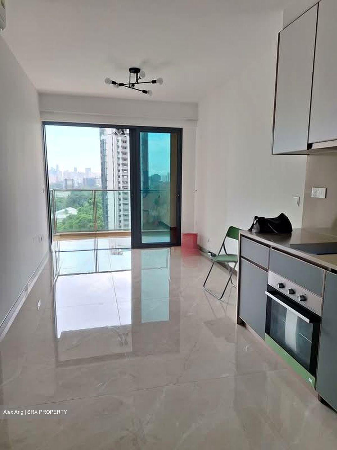 Normanton Park (D5), Apartment #575718201